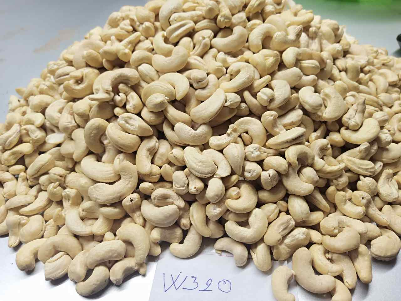 Noix de Cajou - Cashew Nuts export qualité