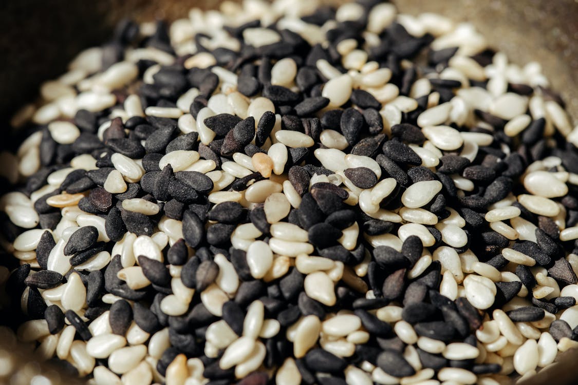 Sésame - Sesame Seeds export qualité