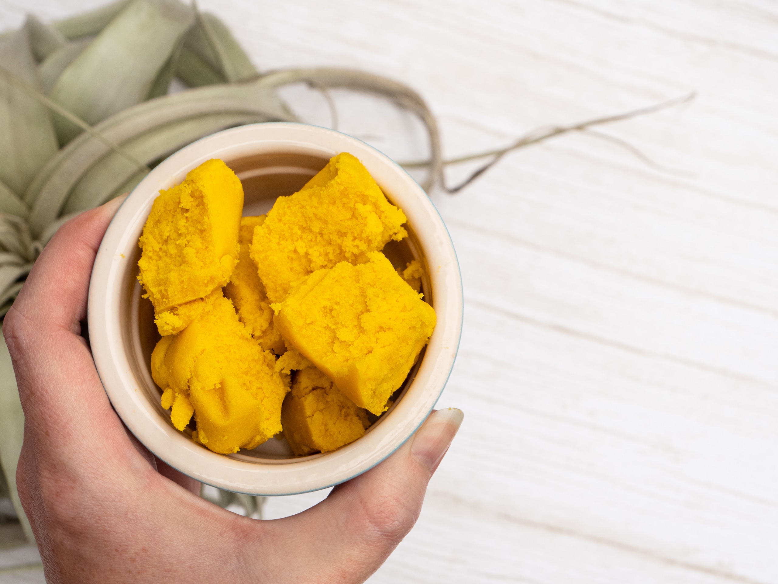 Karité - Shea Butter export qualité