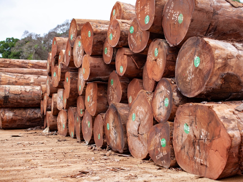 Bois - Timber export qualité